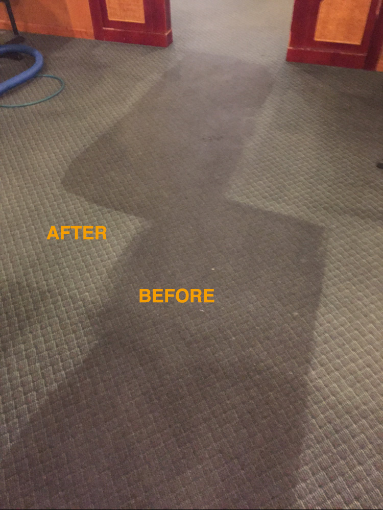 Photos Sunshine Carpet Cleaning